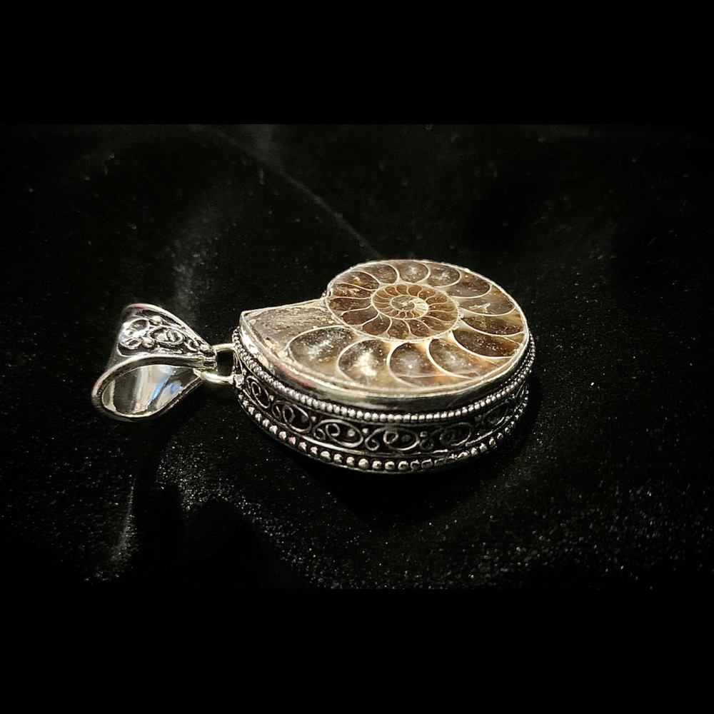 Ammonite fossil gemstone pendant